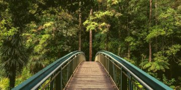 Voltando a viajar com consciência