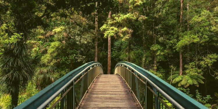 Voltando a viajar com consciência