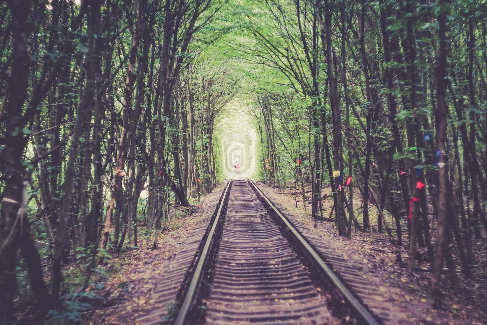 Túnel do Amor, uma trilha apaixonante no interior da Ucrânia Passaporte Feliz