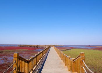 Praia vermelha na China em Panjin