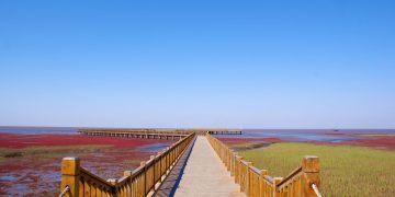 Praia vermelha na China em Panjin