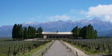 Conheça Mendoza na Argentina, um destino para os amantes de vinho