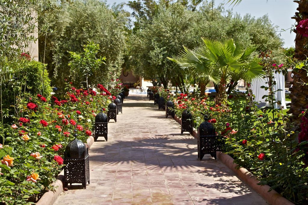 Jardim Majorelle Marrakech
