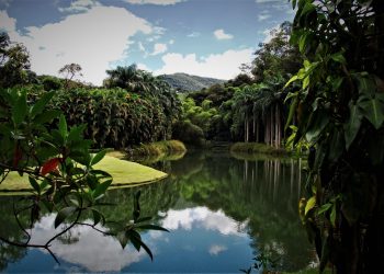 Inhotim, Brumadinho, Belo Horiozonte