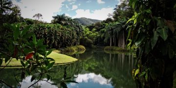 Inhotim, Brumadinho, Belo Horiozonte
