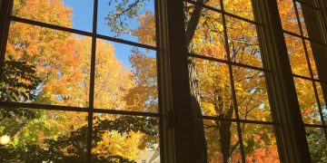 Outono em Minneapolis