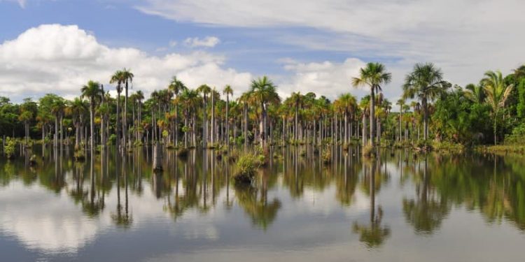Conheça Nobres, um paraíso quase secreto no Mato Grosso 🇧🇷