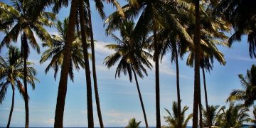 Bahia
