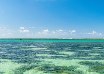 7 Dicas de viagem de carro pelo nordeste 🇧🇷