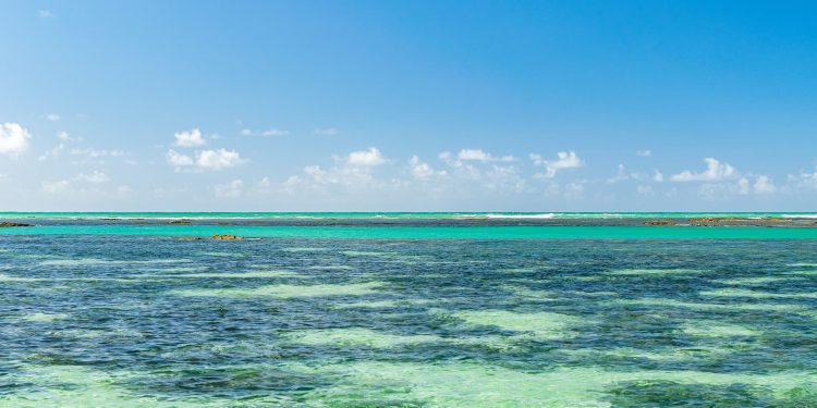 7 Dicas de viagem de carro pelo nordeste 🇧🇷