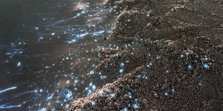 Praia Luminescente