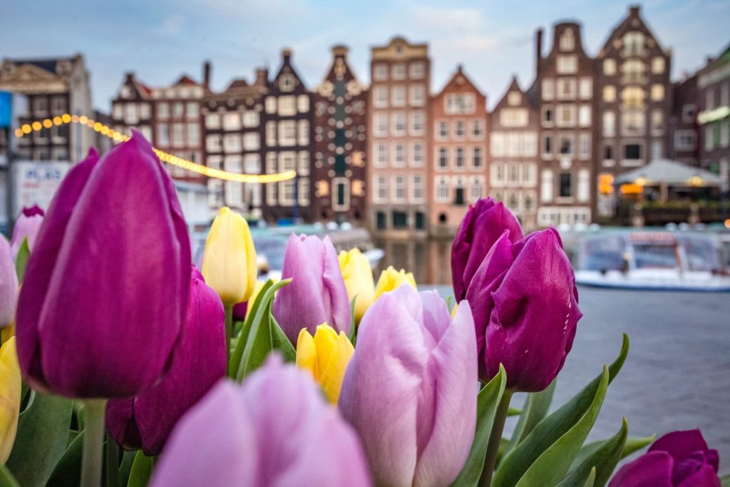 Primavera na Europa em Amsterdam na Holanda