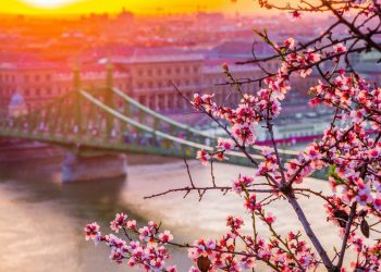 TOP 10 cidades para curtir a Primavera na Europa 🌸