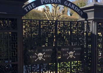 Conheça o Jardim Venenoso no Castelo de Alnwick na Inglaterra ☠️