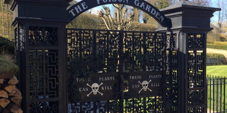 Conheça o Jardim Venenoso no Castelo de Alnwick na Inglaterra ☠️
