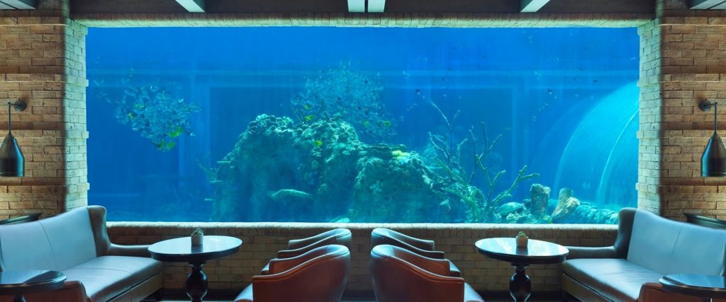 Koral Restaurant debaixo da agua