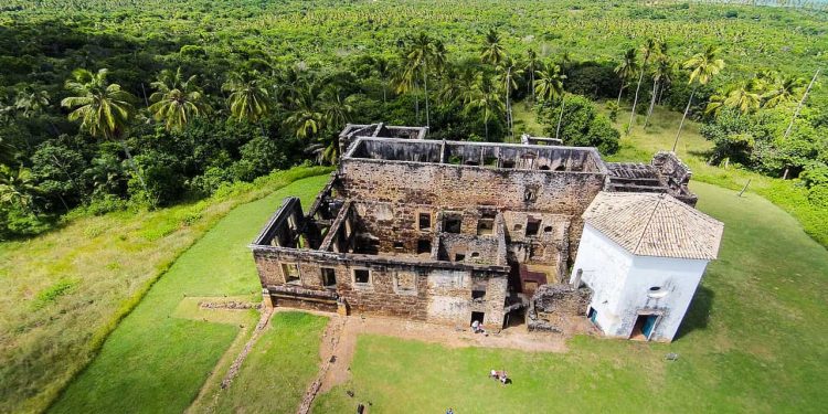 Guia completo da Praia do Forte, na Bahia ⛱️