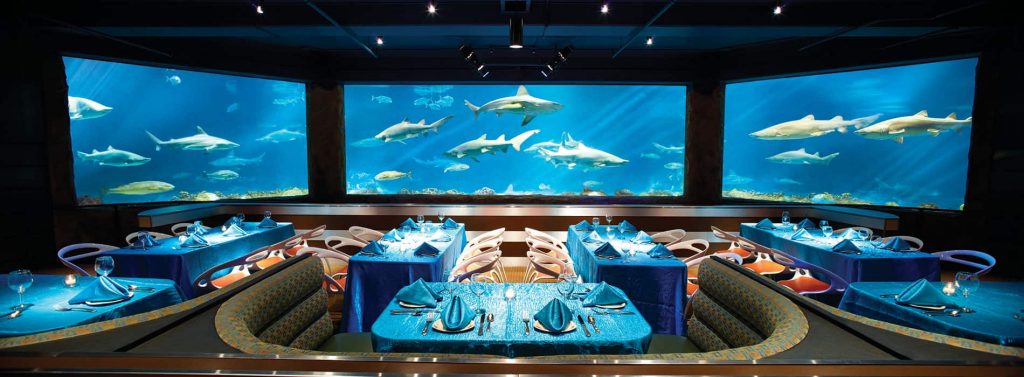 Restaurante debaixo d'água no Sea World Sharks Underwater Grill