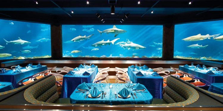 Restaurantes debaixo d'água