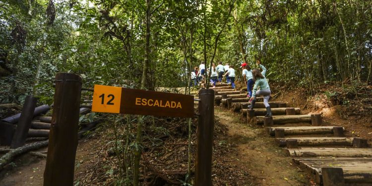 Passear com crianças em Curitiba.
